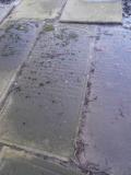 image number SGB60